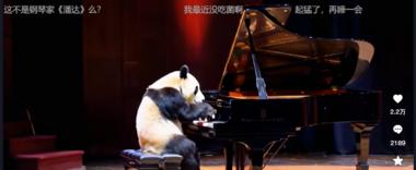 抖音刷到的，通过AI,大熊猫做各种….-网创风向标论坛-网络创业-网创圈