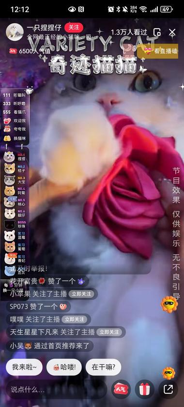 生活不易，猫咪叹气！
猫咪直播，刷礼….-网创风向标论坛-网络创业-网创圈