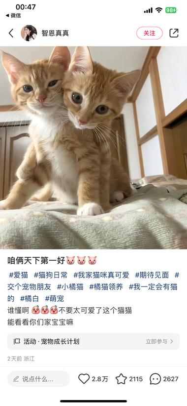 发现一个最近刚发的笔记，就一张图片+….-网创风向标论坛-网络创业-网创圈