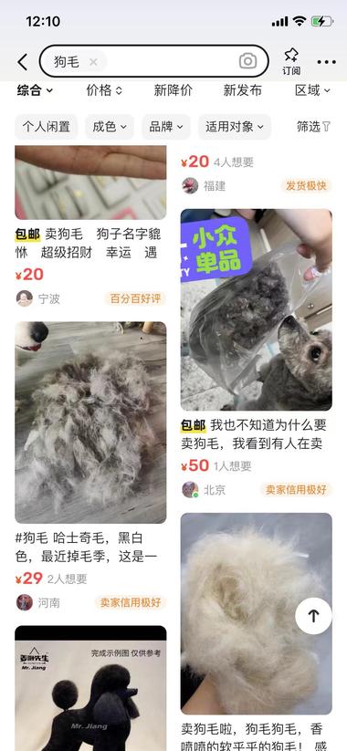 闲鱼上刷到大量收狗毛和猫毛的，感觉损….-网创风向标论坛-网络创业-网创圈