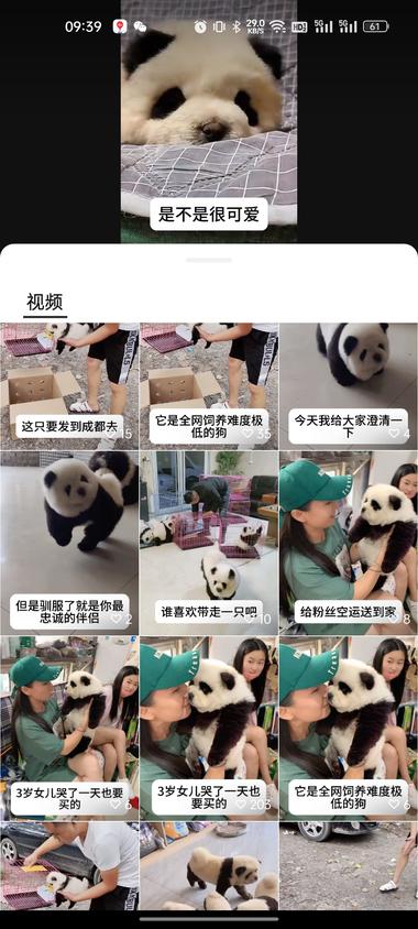 图片[2]-选品:熊猫?犬
宠物赛道细分品
外….-网创风向标论坛-网络创业-网创圈