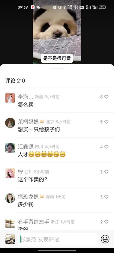 图片[3]-选品:熊猫?犬
宠物赛道细分品
外….-网创风向标论坛-网络创业-网创圈