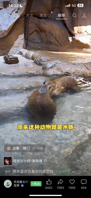 图片[3]-最近卡皮巴拉（水豚）很火，宠物界可以….-网创风向标论坛-网络创业-网创圈