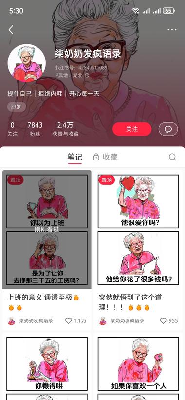 小红书用绘画软件画个老奶奶发年轻人想….-网创风向标论坛-网络创业-网创圈