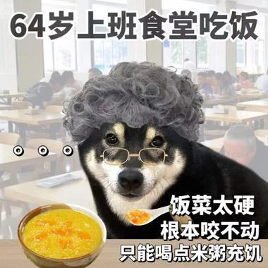 图片[3]-延迟退休的话题已经有人用来做引流了，….-网创风向标论坛-网络创业-网创圈