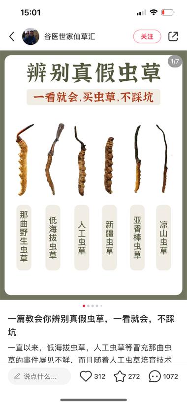 虫草产品在小红书引流，通过鉴别真假引流….-网创风向标论坛-网络创业-网创圈