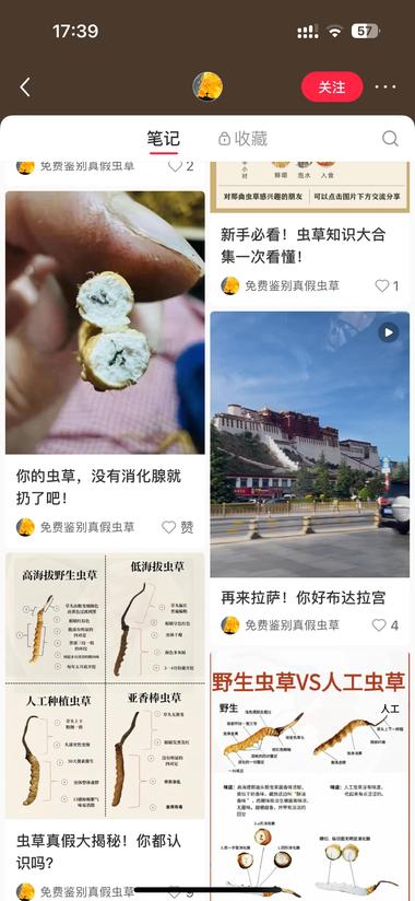 图片[3]-发辨别真假虫草，后端卖虫草
很精准，….-网创风向标论坛-网络创业-网创圈