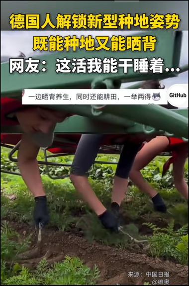 把晒背和除草结合起来，做养生的流量….-网创风向标论坛-网络创业-网创圈