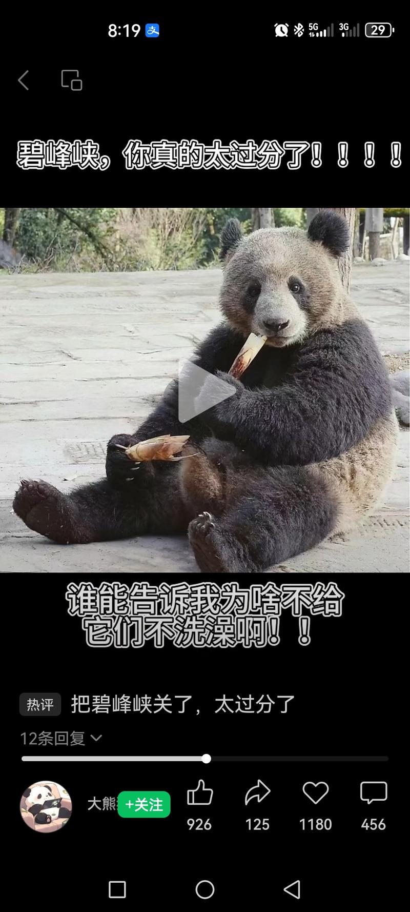 #风向标视频号目标人群：喜欢萌宠类的盈利：橱窗带货+分成各个平台上面的熊猫类数据都很好的，点赞评论区的数据都很好，熊猫很治愈，也可以发一张图+文字类的，比如没有回来的熊猫期待早点回家。疑问：素材来源抖音，大家的素材都差不多，怎么做到都是原创呢？-网创风向标论坛-网络创业-网创圈