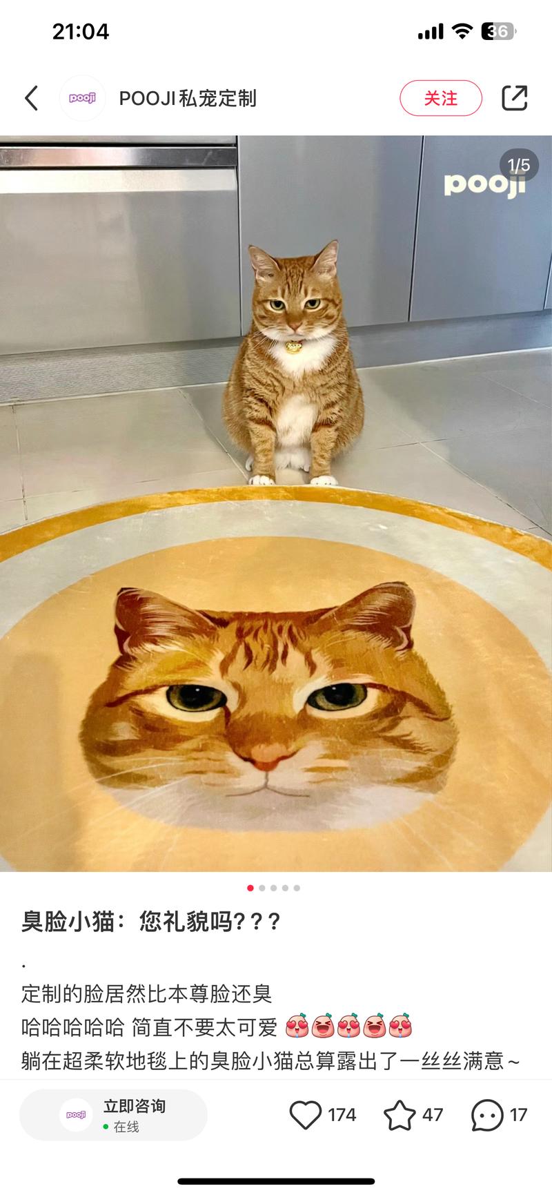 – 目标人群：养猫养狗的爱宠人士– 需求：宠物画像定制地毯– 平台和项目：在小红书平台，为宠物主定制宠物画像，并印制成地毯– 项目拆解：如今宠物经济是新的风口，养宠人士愿意为爱宠付出更多金钱和时间。可以结合AI绘图来做，直接将宠物照片转成插画风格，然后印制地毯。AI绘画作品有了实物载体，能够有更好的溢价空间。且定制品为非标品，不会陷入单纯比价场景。– 盈利空间：评论区都是询价的，没有开红书店铺，应该是转化到私域接单。沉淀到私域的用户也能后续再售卖宠物零食和宠物玩具等二次变现。-网创风向标论坛-网络创业-网创圈