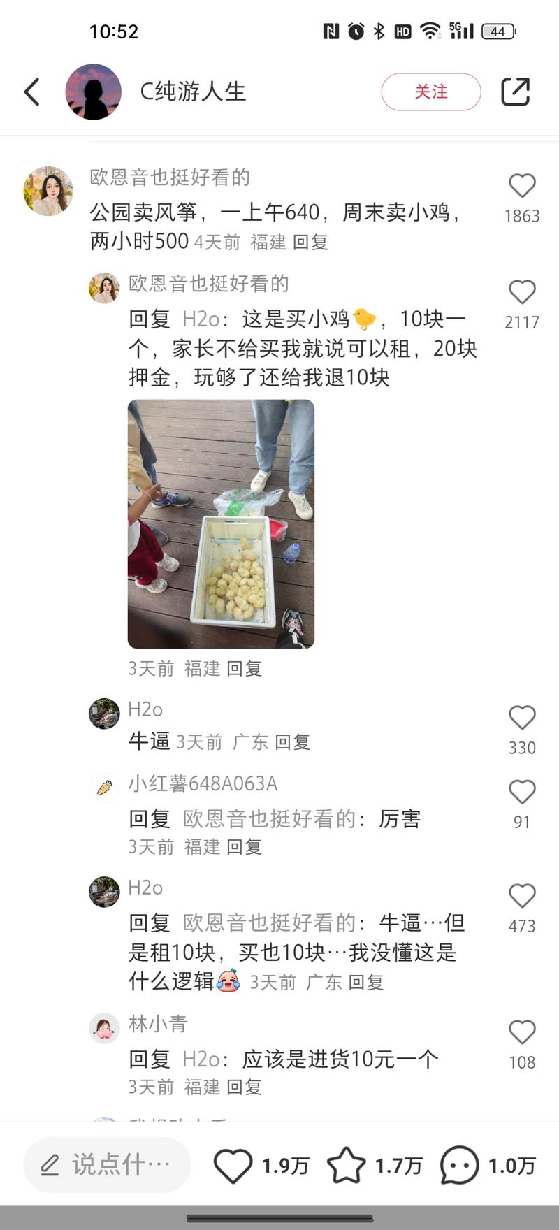 公园卖小鸡遛娃时顺便做个小生意，也让娃从小参与起来。拼多多5块钱一只，10块钱卖掉，可买可租。-网创风向标论坛-网络创业-网创圈