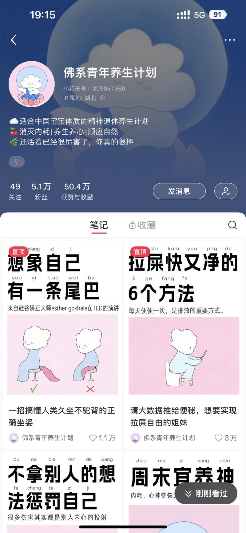 赛道：小红书女性成长赛道找到一个对标账号 佛系青年养生计划昵称里面带上计划大家很有想要进来试试的想法，尤其主页装修里面适合中国宝宝体质的精神退休养生计划，很有代入感。最主要的是笔记风格非常小清新，最上面一个大标题然后配上合适的图，简洁又清晰，很值得参考七十多篇笔记达到了五万粉丝其他对标系列账号见图四 有各种✖️✖️计划的账号 比如铁血老太培养计划等-网创风向标论坛-网络创业-网创圈