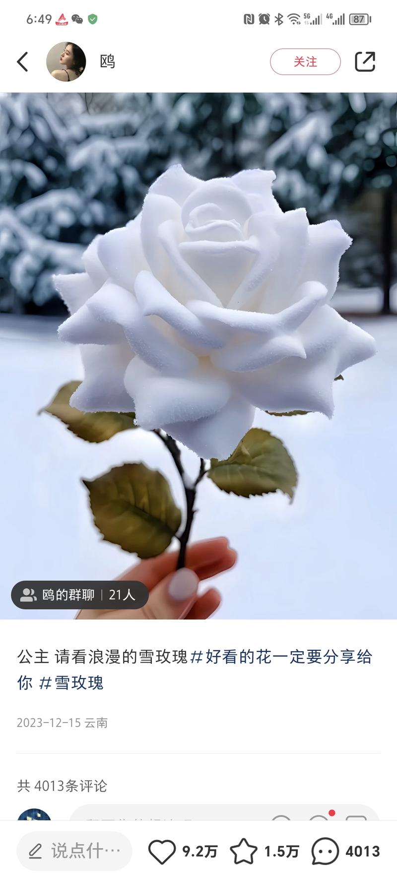 小红书冬日雪玫瑰多出低粉爆款，看了几个粉丝很低的账号，发雪玫瑰流量都很好，下周湖北可能迎来第一场雪，出低粉爆文可以用这个。-网创风向标论坛-网络创业-网创圈