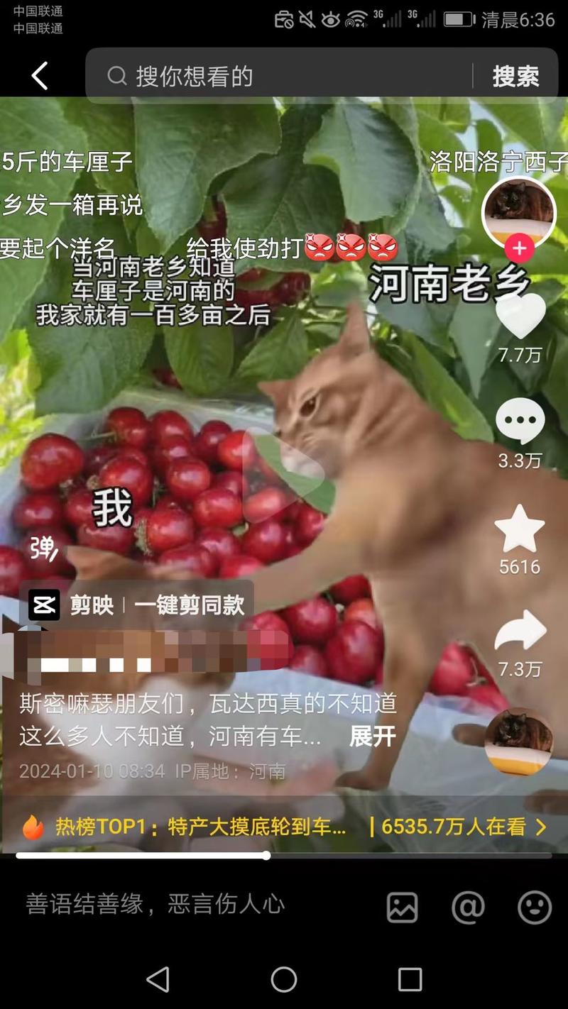 一个异常值。昨天上午8点34分发布，截止到今天，视频爆了！-网创风向标论坛-网络创业-网创圈