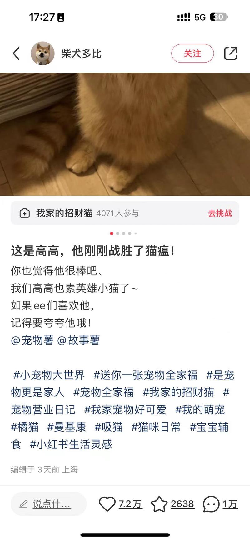 从小红书的创作灵感里面挖到一个\\\”我家的招财猫\\\”的话题，发现小红书上宠物赛道的流量很大，尤其这一篇近3天光点赞数就已经有7.3w，曝光量应该至少70多w甚至100多w，该博主粉丝才9000+，应该全靠自然流推荐爆款分析：这篇从封面上看其实没有太大的特色，只是猫的主体很明显，核心应该还是在内容上，以战胜猫瘟为切入点，将猫拟人化，输出正能量的顽强精神，引导大家鼓励夸夸猫，从而引发其他养猫爱好者的共鸣，也按照博主标题的句式去分享自己家的猫猫，实现了现象级的传播效应底层分析：1、宠物提供了陪伴价值，一定程度上代替了忙碌的对象或者家人，可以当树洞，2、宠物提供治愈的情绪价值，看到这么可爱一只，心情都能变好，3、宠物提供了社交价值，把喜欢宠物有爱心的人聚在一起，可以有更多交流的话题，或者拍照的场景，4、宠物让年轻人提前体验到了养小孩的感觉，提前预演哈哈变现：目前这个博主没有变现，但从该账号的其他笔记评论区来看，其实有很多产品需求，如宠物衣服的穿搭，宠物养护的一些周边产品等等-网创风向标论坛-网络创业-网创圈