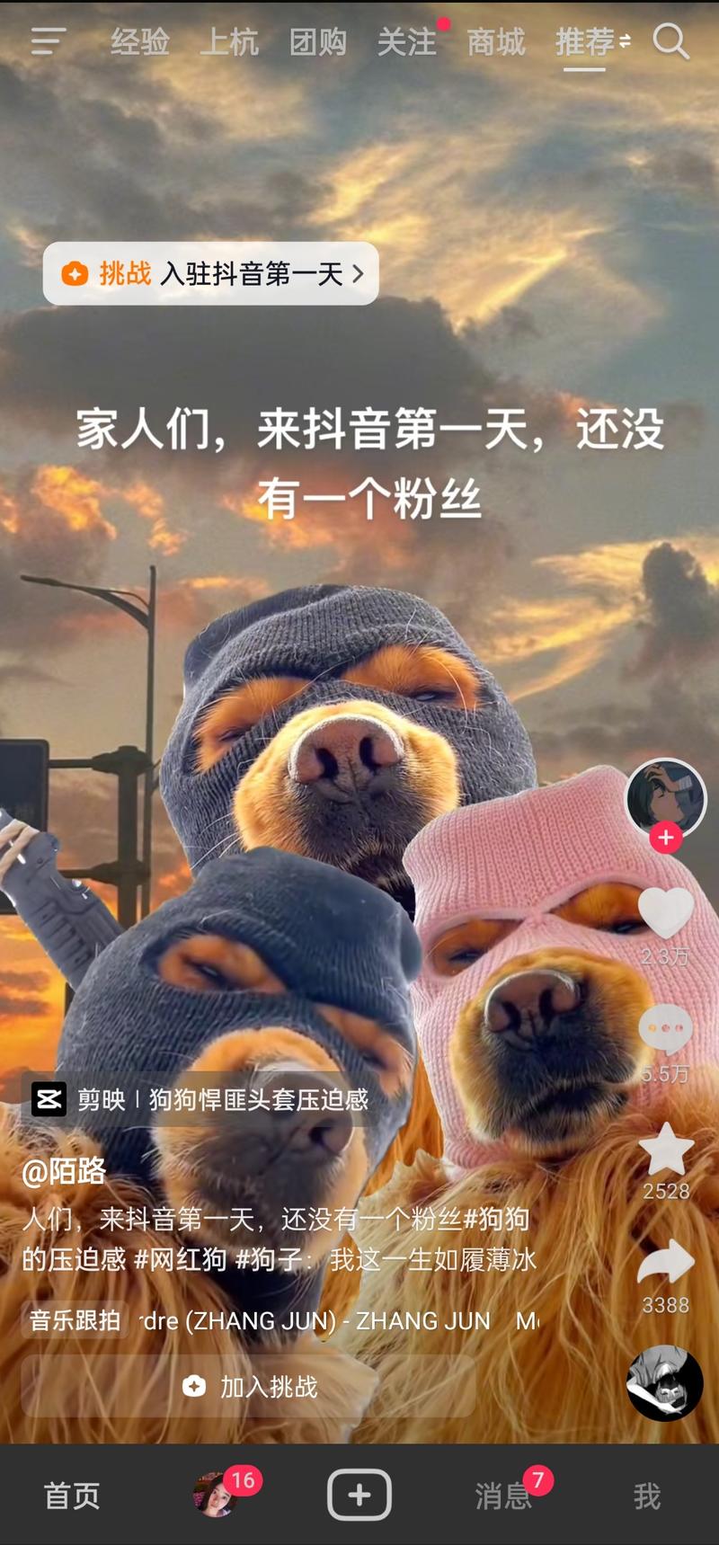 刷抖音看到这条短视频涨粉特别快，挑战入驻抖音的第一天，迅速涨粉，点赞量和评论都有几万，做抖音或者视频号可以试一下类似的方式。-网创风向标论坛-网络创业-网创圈