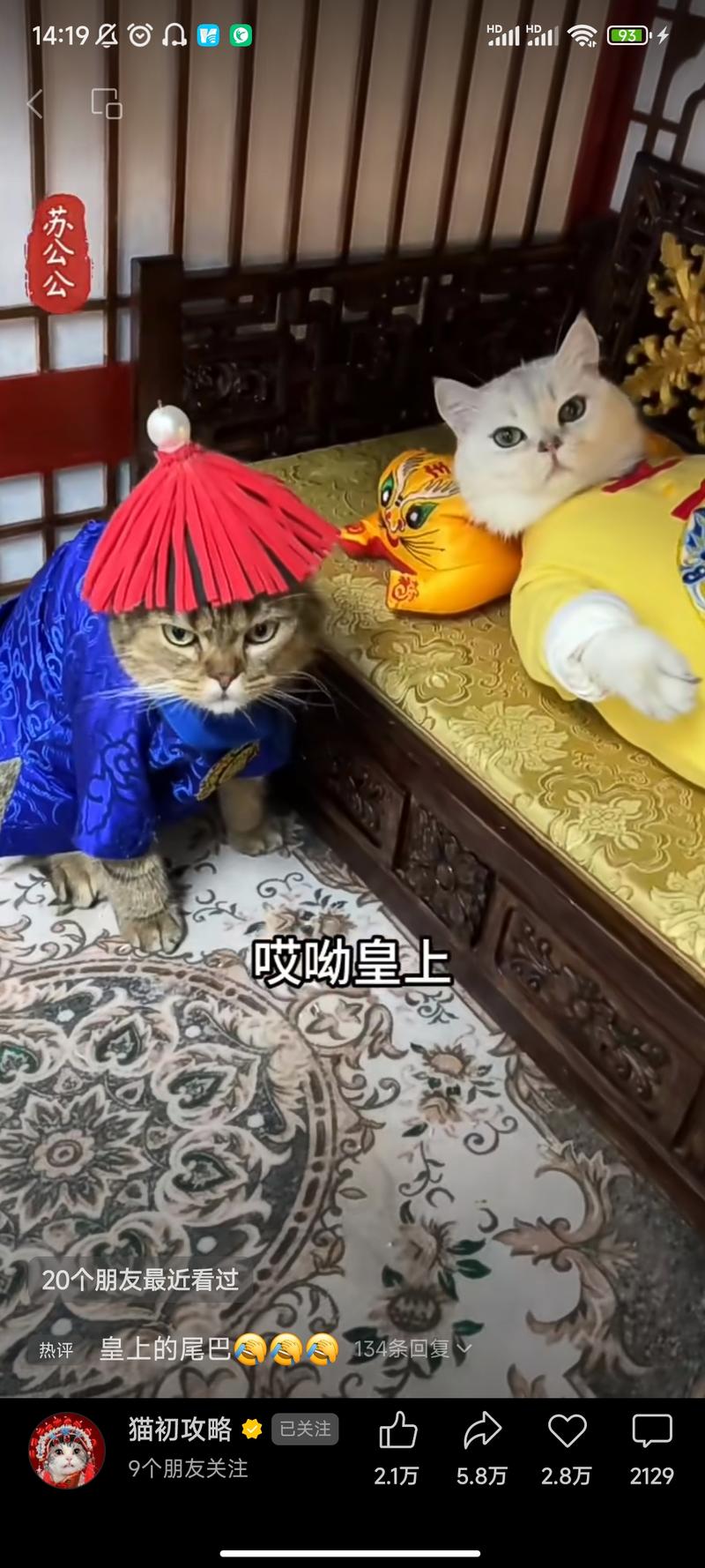 这个视频号非常有特色: 使用古装剧的音频，然后给猫穿上古装，配合原剧进行拍摄，流量很好。研究账号后，发现可以从以下几个方式进行变现:（1）孵化更多类似博主。（2）接与猫相关的广告。（3）博主自行制作猫的服装，可以带货猫的服装或者猫粮。（4）当前账号已开通视频号分成计划。-网创风向标论坛-网络创业-网创圈