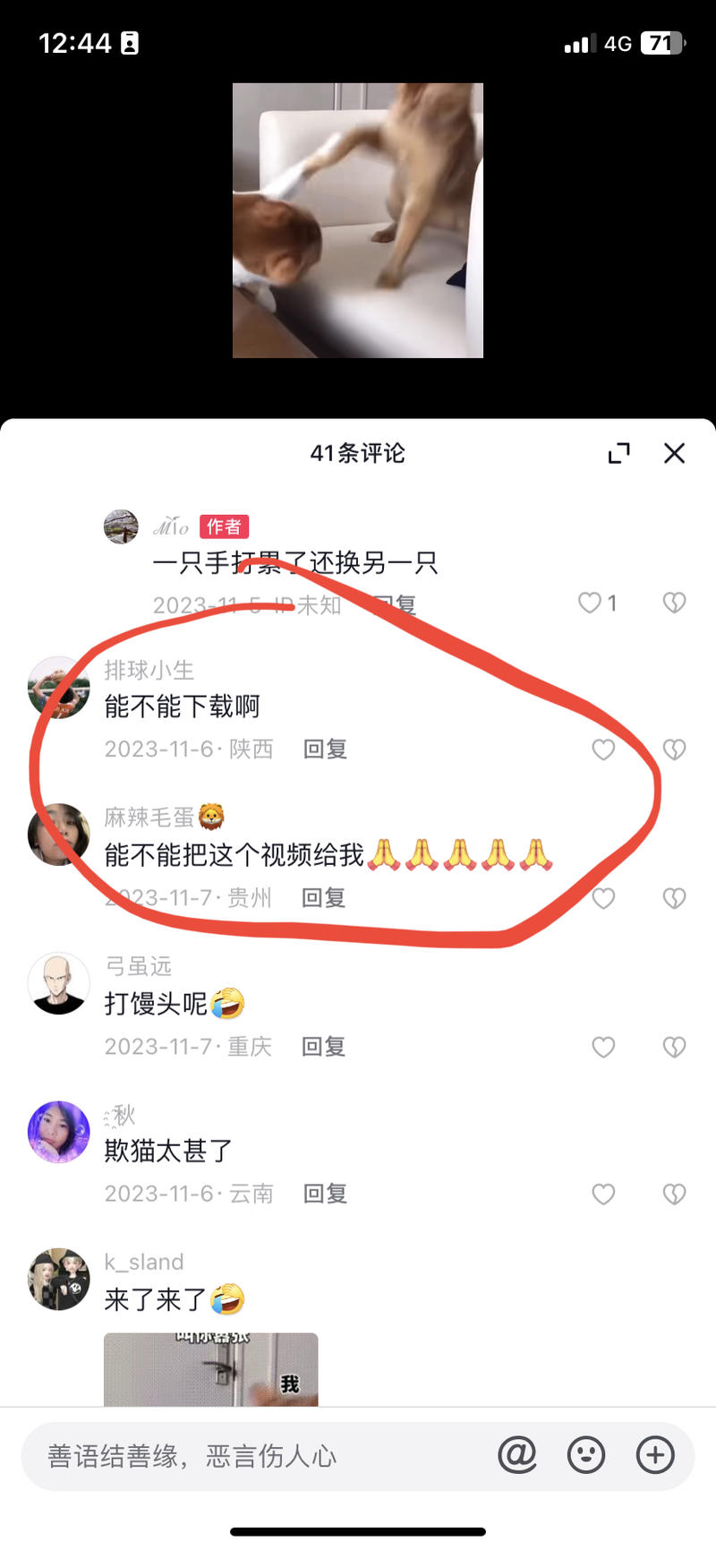 爆款模板视频下很多求视频的可以基于思路这个引流-网创风向标论坛-网络创业-网创圈