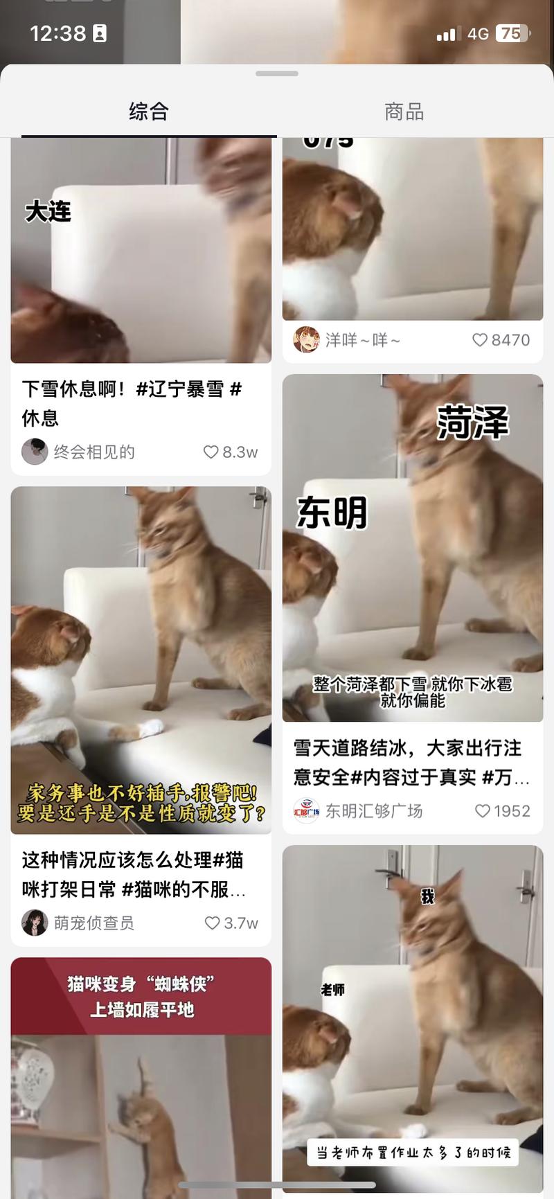 小猫暴打模板随便看了几个视频都是小爆款目前还没形成话题模板原视频链接2.58 06\\/15 r@E.Hi hba:\\/ 复制打开抖音，看看【阿猫啊狗的作品】不能还手，还手就是互殴# 猫咪-网创风向标论坛-网络创业-网创圈
