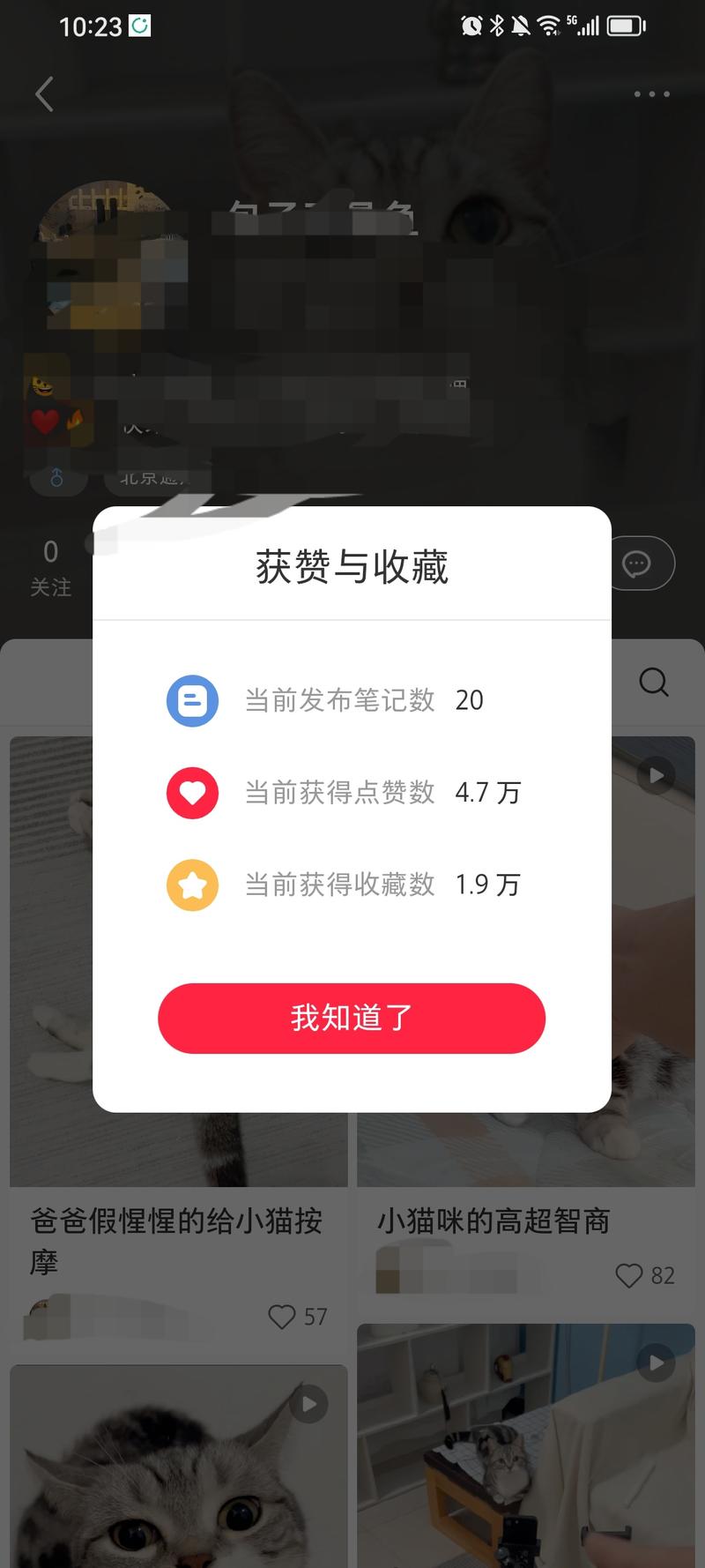 【宠物赛道新玩法】说唱小猫….-网创风向标论坛-网络创业-网创圈