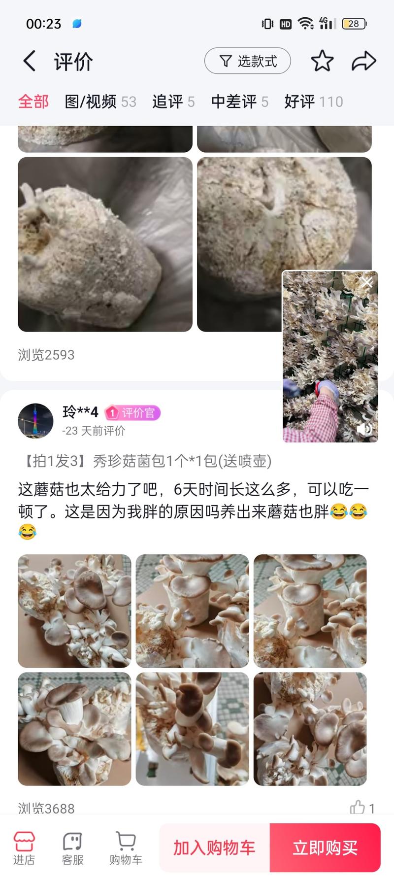 沉浸式直播蘑菇菌包9.9元，橱窗只有3个商品，我看了都下单了菌包。-网创风向标论坛-网络创业-网创圈